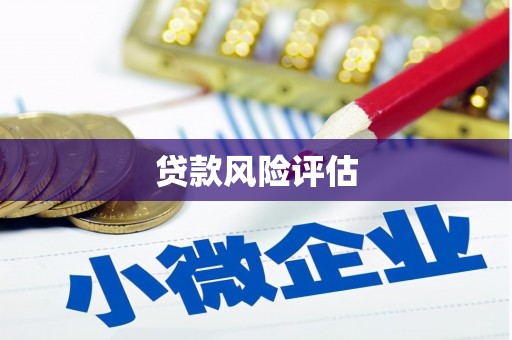抚顺贷款风险评估