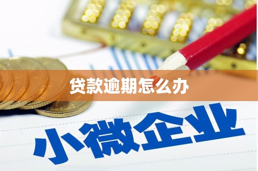 抚顺贷款逾期怎么办