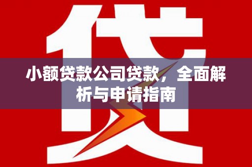 抚顺小额贷款公司贷款，全面解析与申请指南