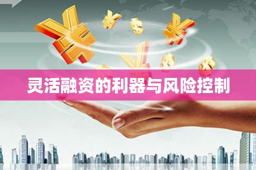 抚顺灵活融资的利器与风险控制