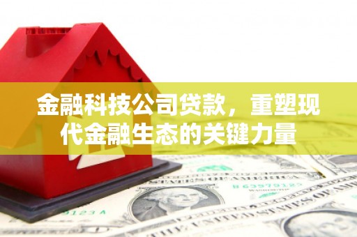 抚顺金融科技公司贷款，重塑现代金融生态的关键力量