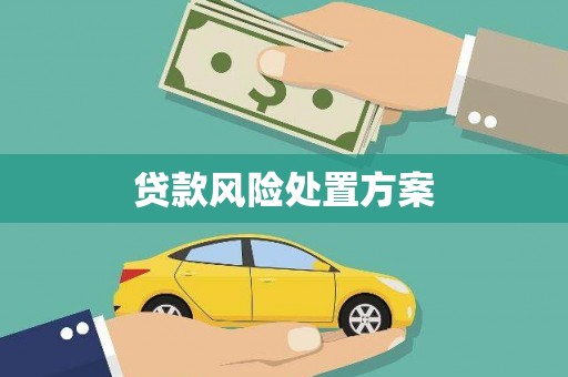 抚顺贷款风险处置方案