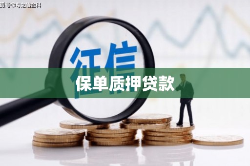抚顺保单质押贷款