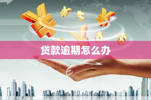 抚顺贷款逾期怎么办