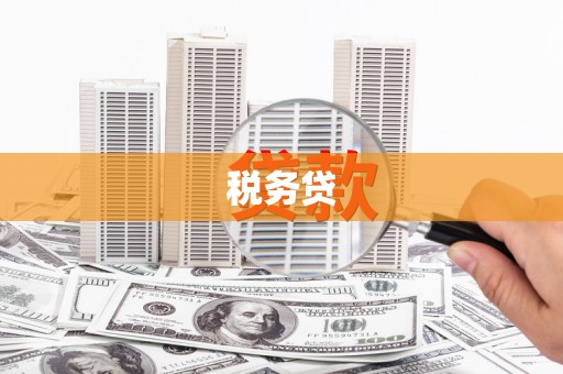 抚顺税务贷