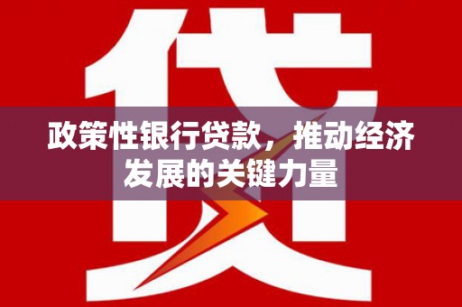 抚顺政策性银行贷款，推动经济发展的关键力量