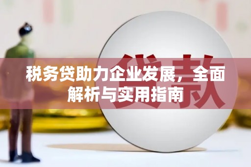 抚顺税务贷助力企业发展，全面解析与实用指南