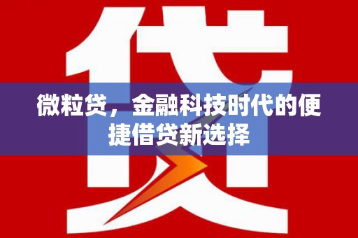 抚顺微粒贷，金融科技时代的便捷借贷新选择