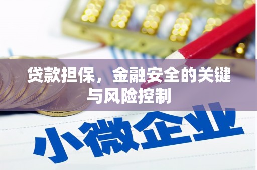 抚顺贷款担保，金融安全的关键与风险控制