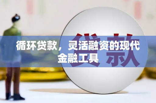 抚顺循环贷款，灵活融资的现代金融工具
