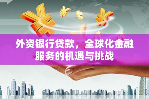 抚顺外资银行贷款，全球化金融服务的机遇与挑战