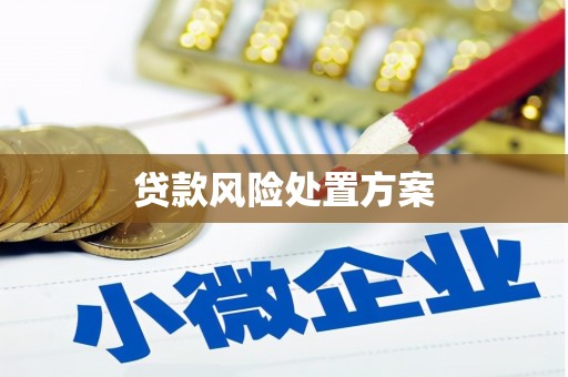 抚顺贷款风险处置方案
