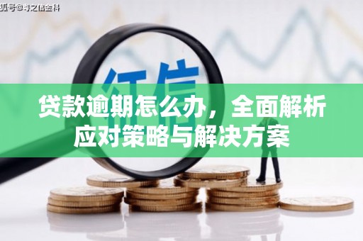 抚顺贷款逾期怎么办，全面解析应对策略与解决方案