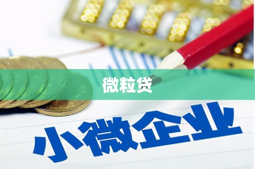 抚顺微粒贷